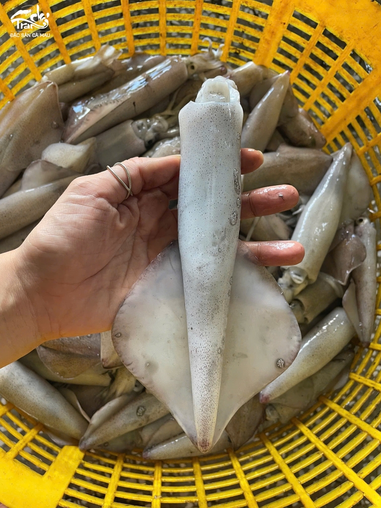 MỰC TRỨNG CÀ MAU