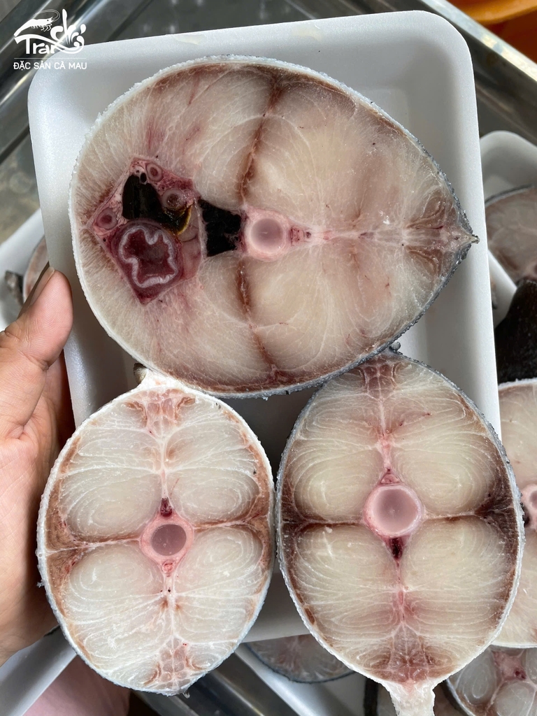 CÁ BỐP CẮT KHOANH