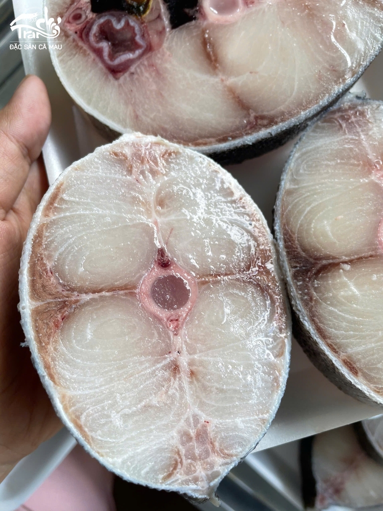 CÁ BỐP CẮT KHOANH