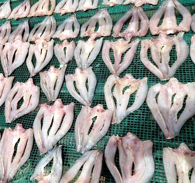 CÁ LÓC XẺ KHÔ - TIÊU SỌ