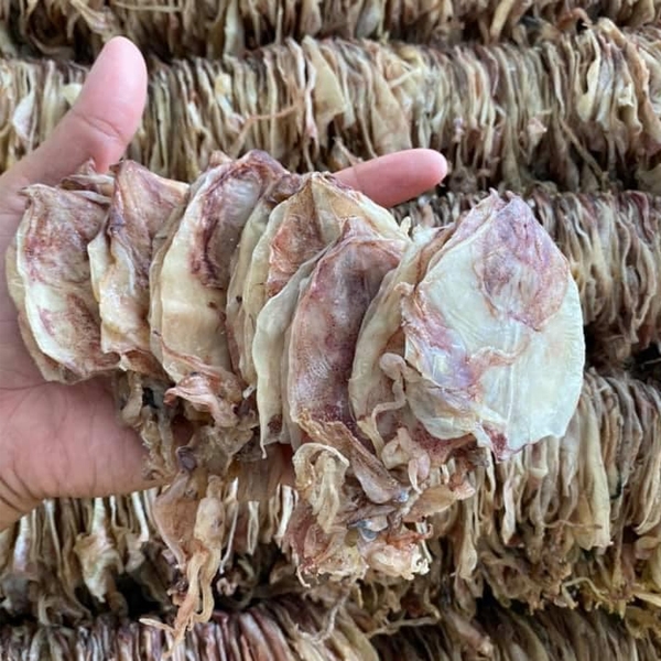 MỰC ĐỒNG TIỀN : XÔ - NHỎ