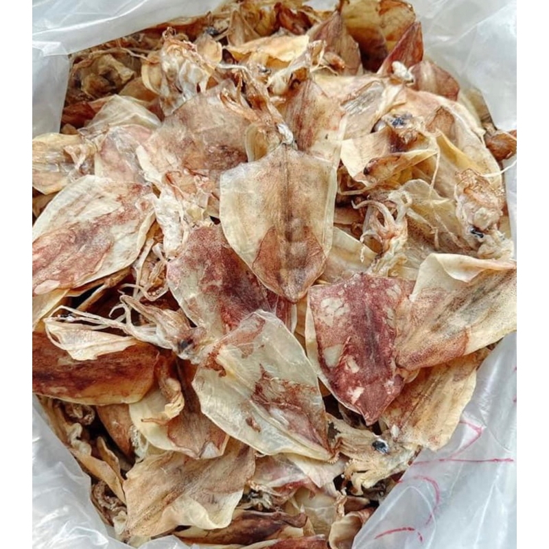 MỰC ĐỒNG TIỀN : XÔ - NHỎ