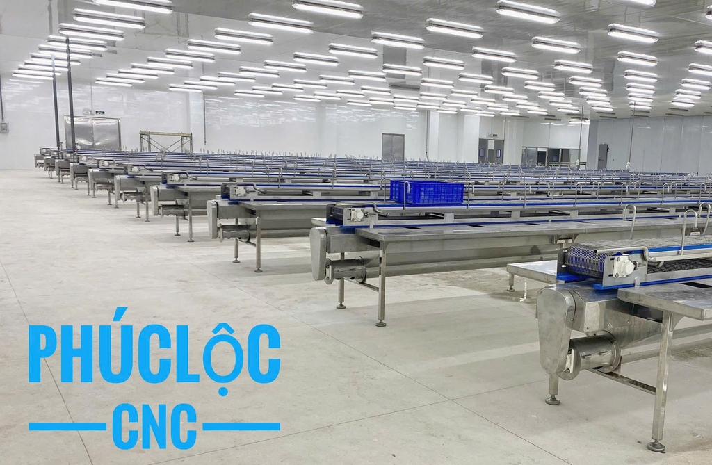 BĂNG TẢI LẶT ĐẦU TÔM