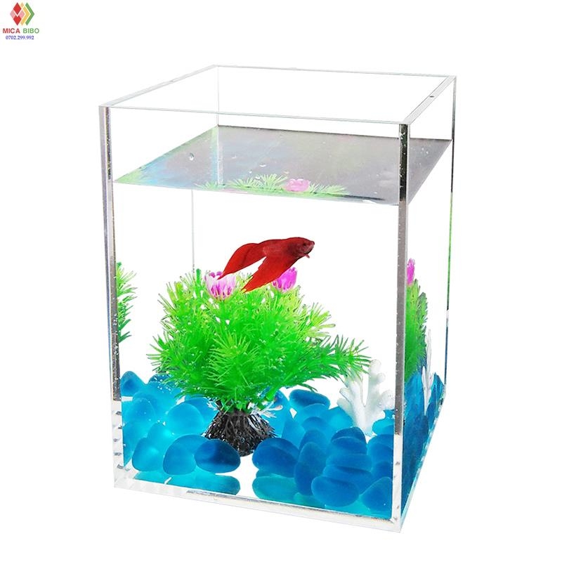 Hồ show cá, keo show Guppy Betta, Bể mini acrylic, Dày 3mm, nhiều kích thước
