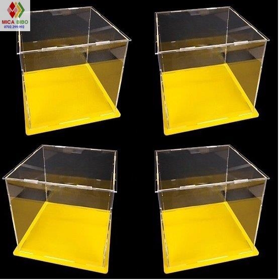 Cao 55,60,70,80cm, Size lớn,dày 3mm, Hộp mica trưng bày sản phẩn, thiết kế theo yêu cầu