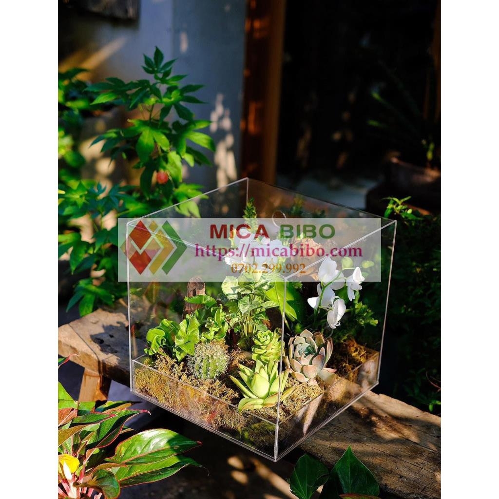 Hộp mica quà tặng hoa, đựng hoa, trang trí sản phẩm, trưng bày Bánh, trái cây, nhiều kích thước