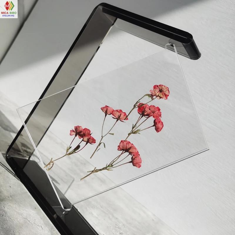 khung ảnh mica trưng bày hoa khô, ảnh, menu, A4 A5 A6