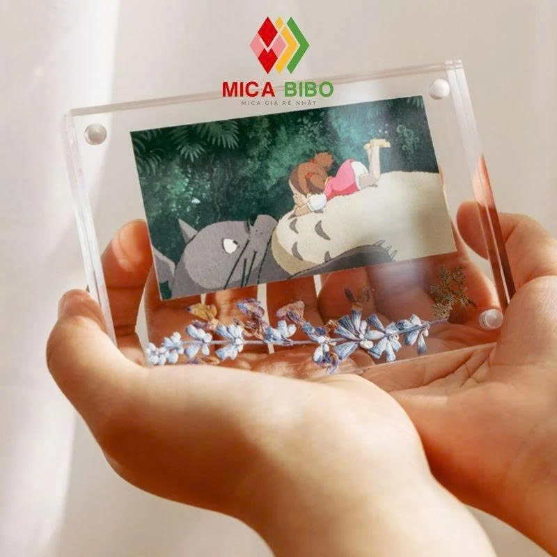 Khung Ảnh Bằng Acrylic Trong Suốt Đơn Giản Dùng Trang Trí Diy