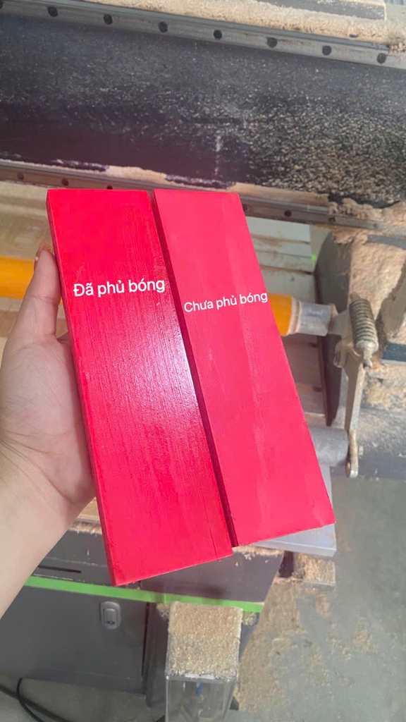 Hộp đựng đồ trong suốt gắn tường, để bàn, Hộp đựng đồ trong suốt Popmart, Giá trưng bày popmart, Molly