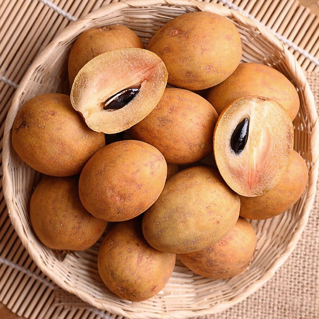 Chikoo clearance in english