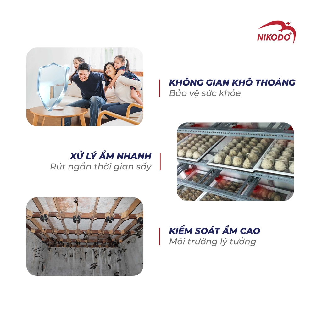 Vì Sao Cần Sử Dụng Máy Hút Ẩm Trong Nhà Yến, Xưởng Yến Và Gia Đình?