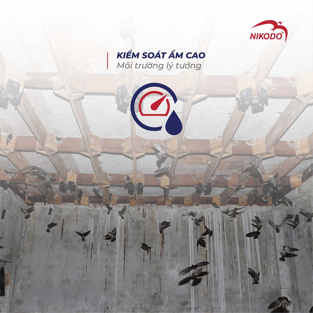 Vì Sao Cần Sử Dụng Máy Hút Ẩm Trong Nhà Yến, Xưởng Yến Và Gia Đình?