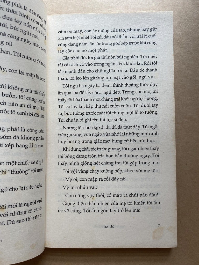 Hạ Đỏ