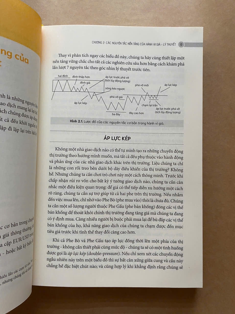 Thấu Hiểu Hành Vi Giá Thị Trường Tài Chính - Understanding Price Action