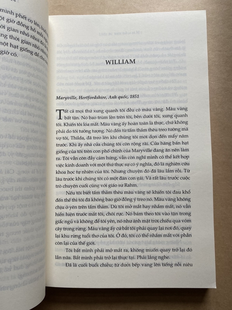 Lịch Sử Loài Ong