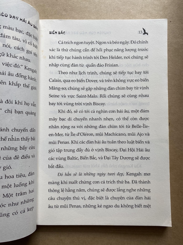 Chuyện Con Mèo Dạy Hải Âu Bay