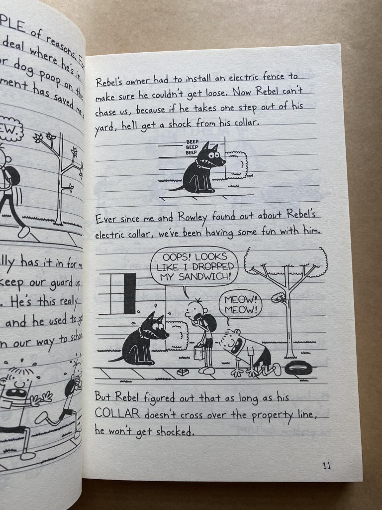 Diary of a Wimpy Kid 8 - Hard Luck