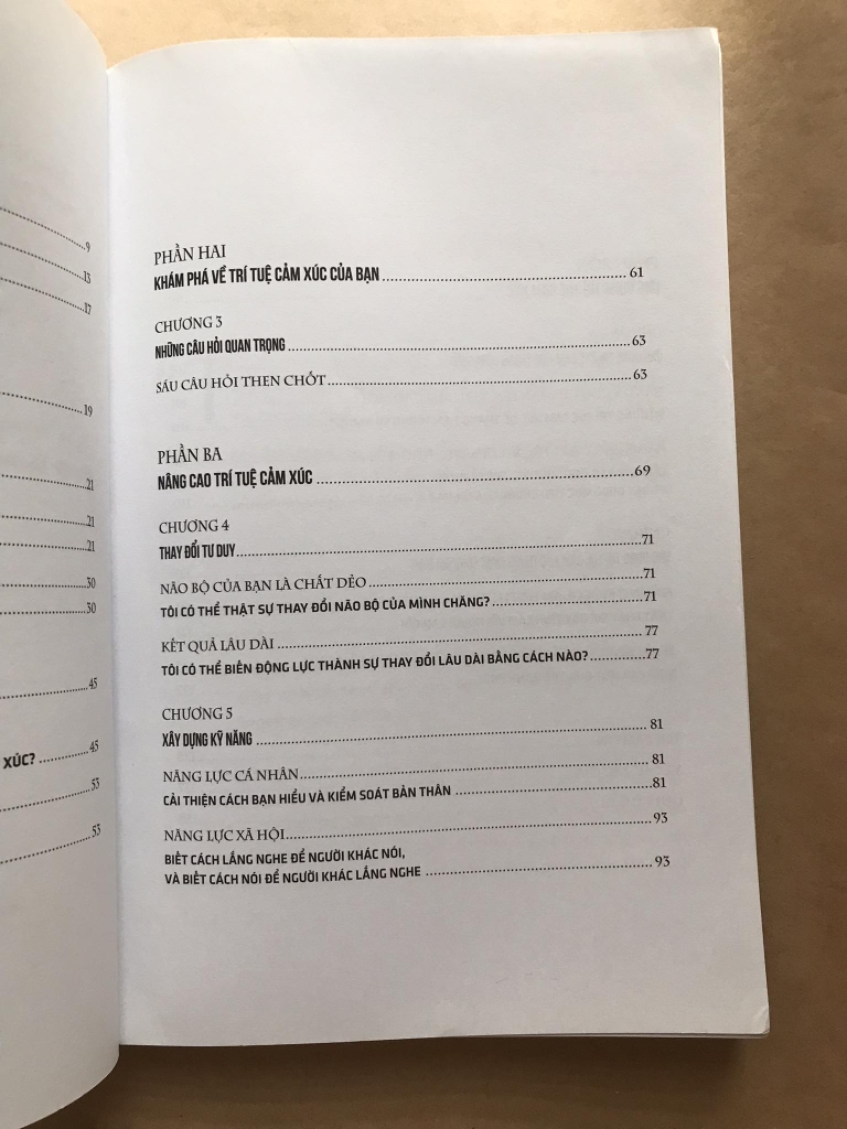 Thông Minh Cảm Xúc Để Hạnh Phúc Và Thành Công