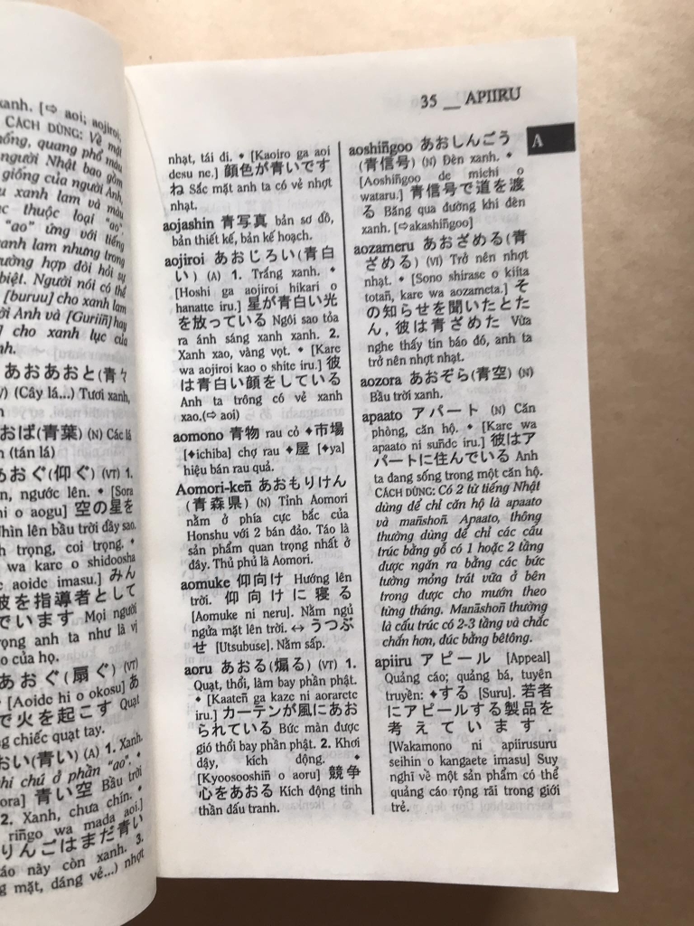 Từ điển Nhật - Việt,  Việt - Nhật