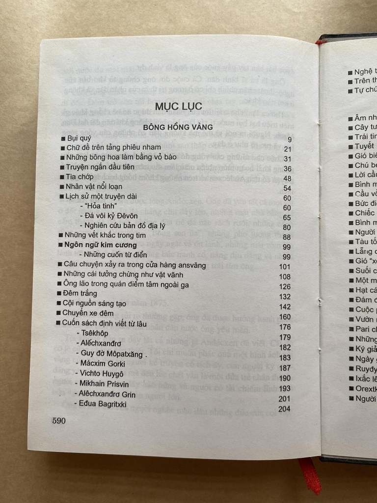 Bông hồng vàng và bình minh mưa