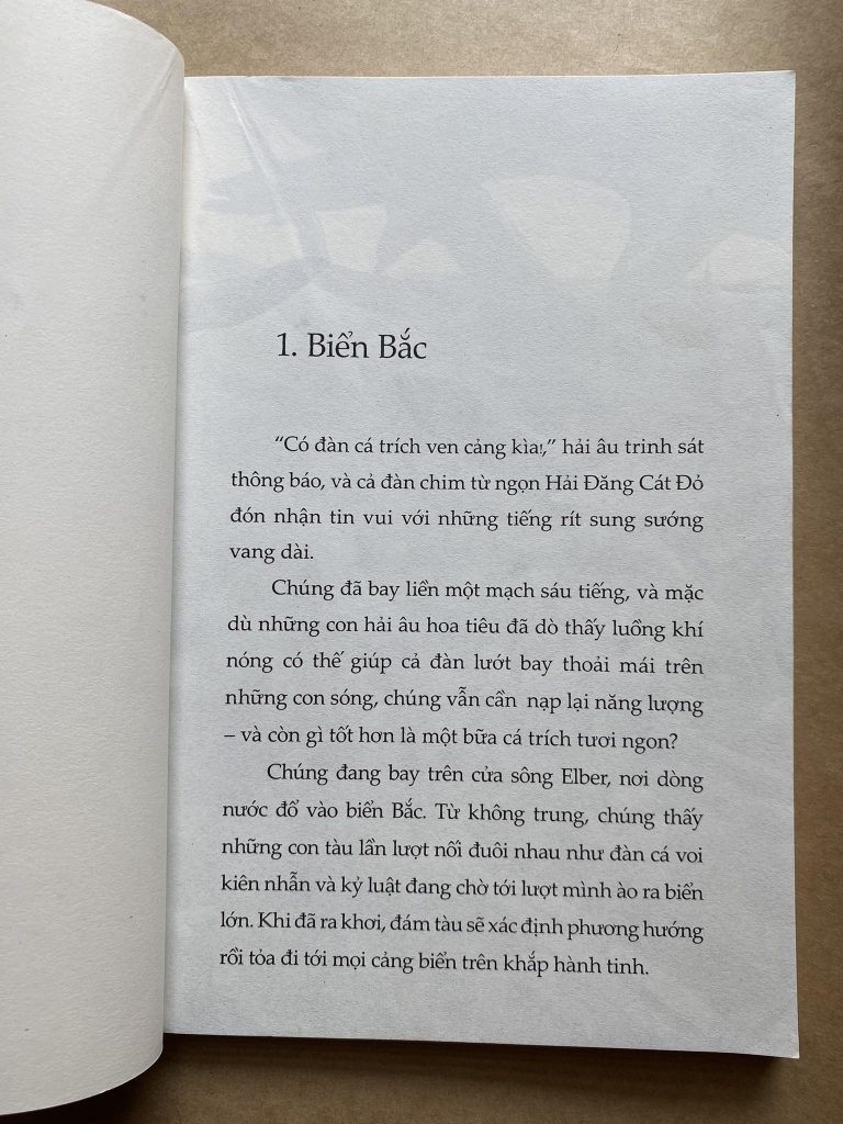 Chuyện Con Mèo Dạy Hải Âu Bay