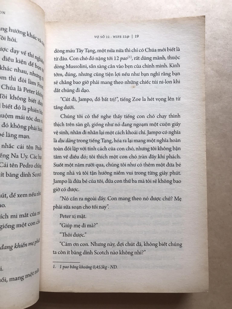 Vợ số 22 – Wife 22@