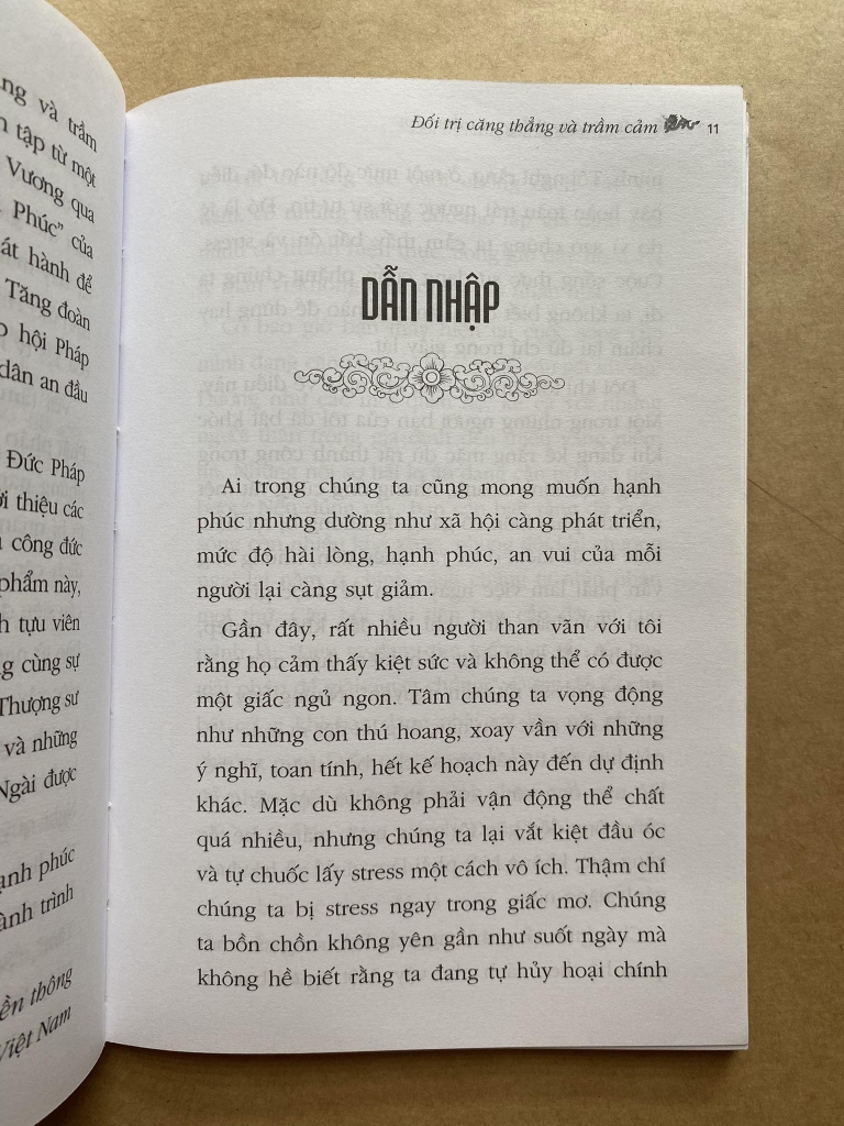 Đối trị căng thẳng và trầm cảm
