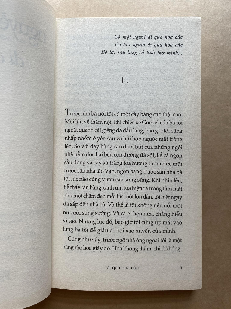 Đi Qua Hoa Cúc