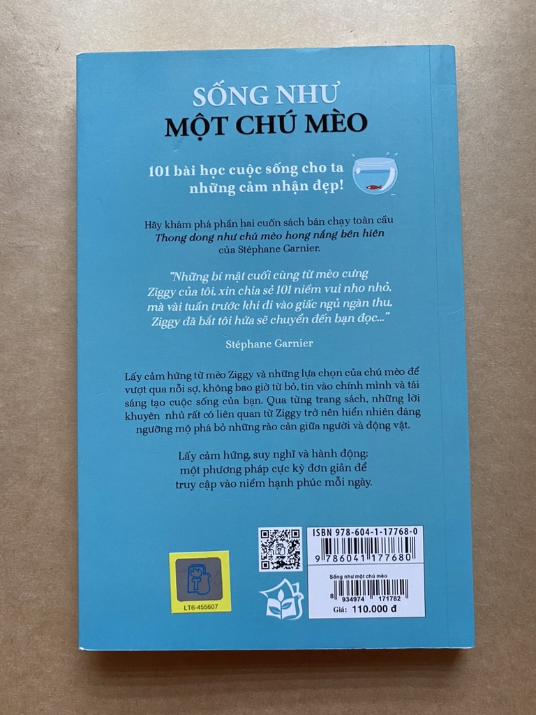 Sống Như Một Chú Mèo