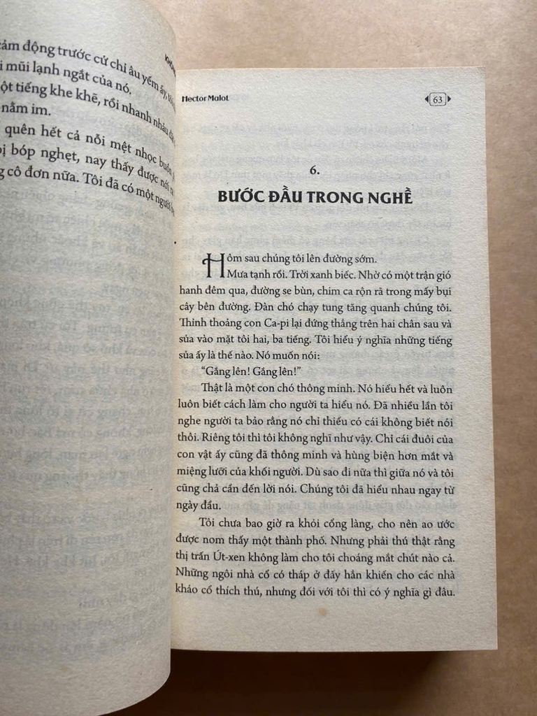 Không gia đình