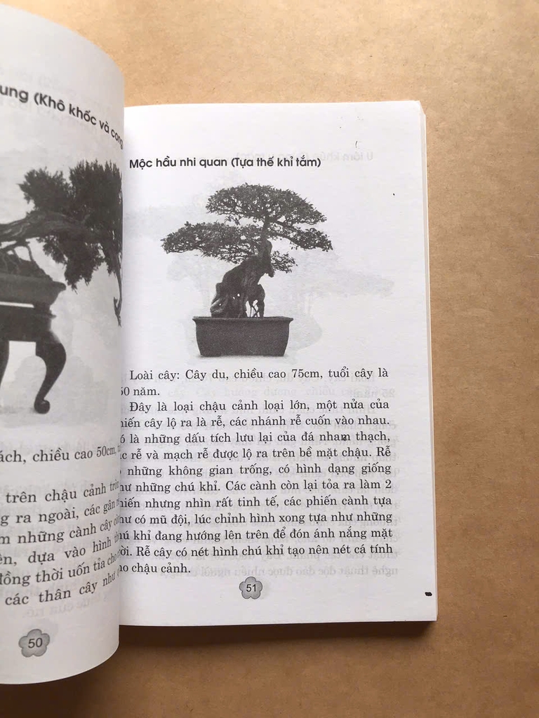 180 Dáng BONSAI Đặc Sắc