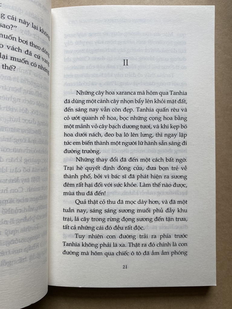 Chó Hoang Dingo, Hay Là Câu Chuyện Mối Tình Đầu