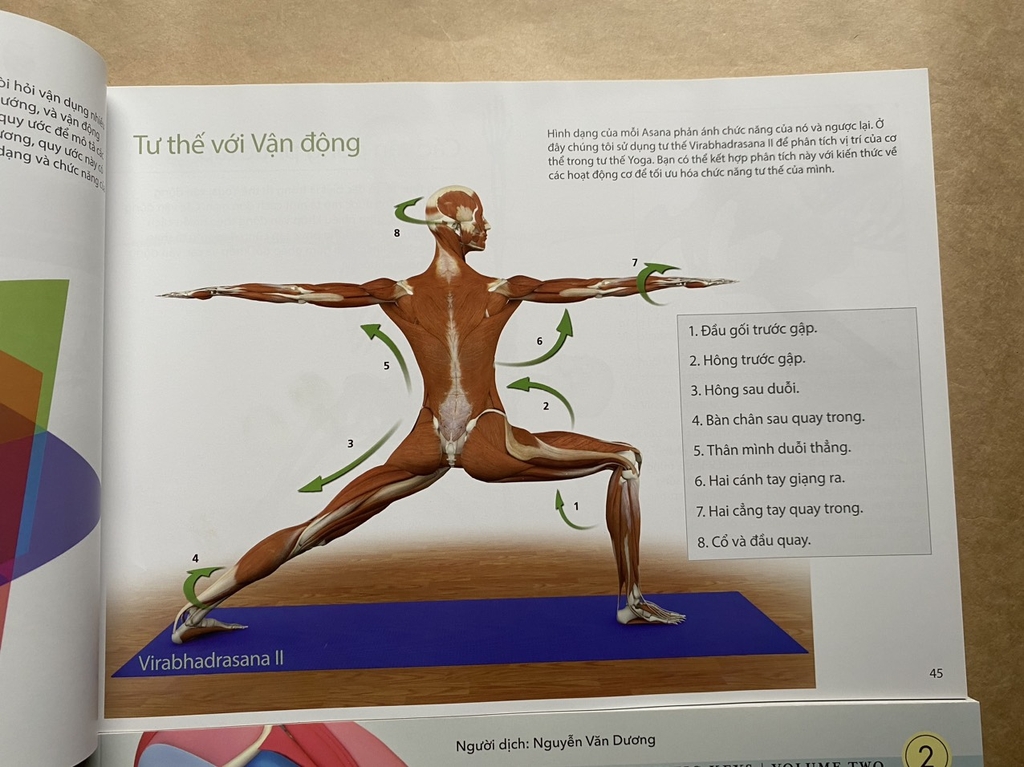 Combo sách các cơ chính trong Yoga + các tư thế chính trong Yoga