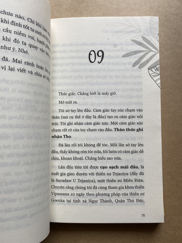 Thiền Trong Từng Phút Giây