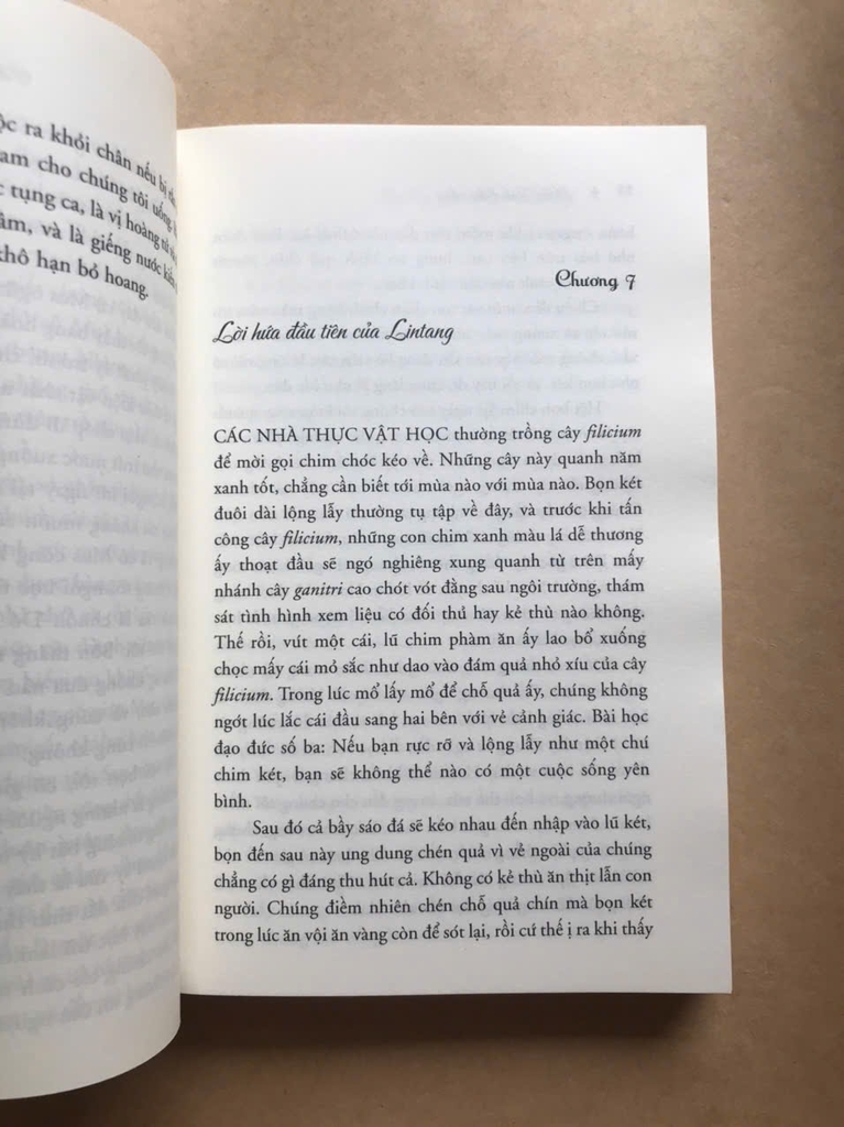 Chiến Binh Cầu Vồng