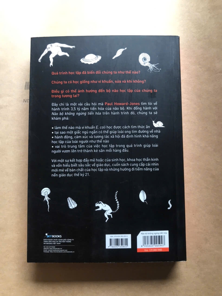 Não Bộ Không Ngừng Tiến Hóa: Trí Thông Minh Của Bạn Đến Từ Đâu?