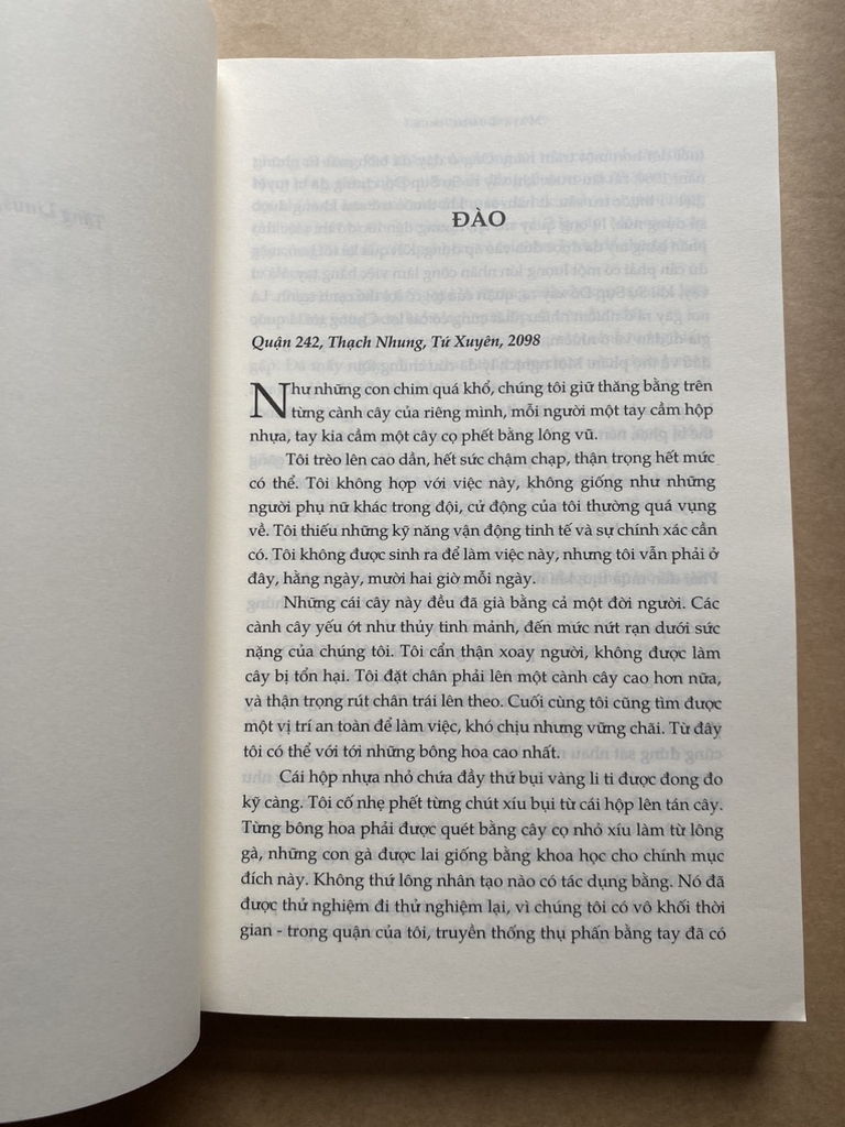 Lịch Sử Loài Ong