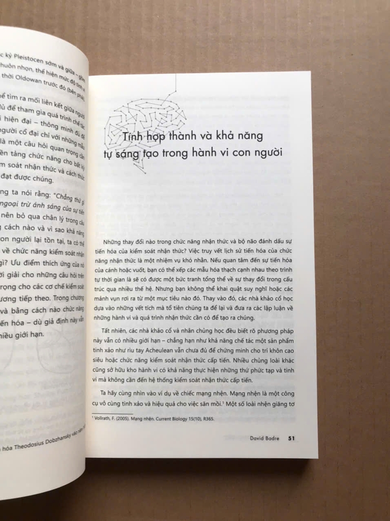 On Task - Đúng Việc - Bộ Não Chúng Ta Làm Việc Như Thế Nào?