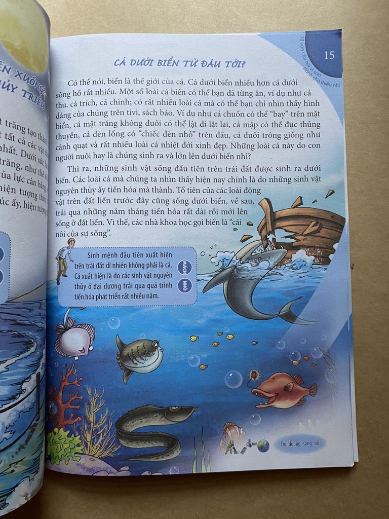 10 Vạn Câu Hỏi Vì Sao Dành Cho Thiếu Nhi - Đại Dương, Sông Ngòi Và Núi Cao