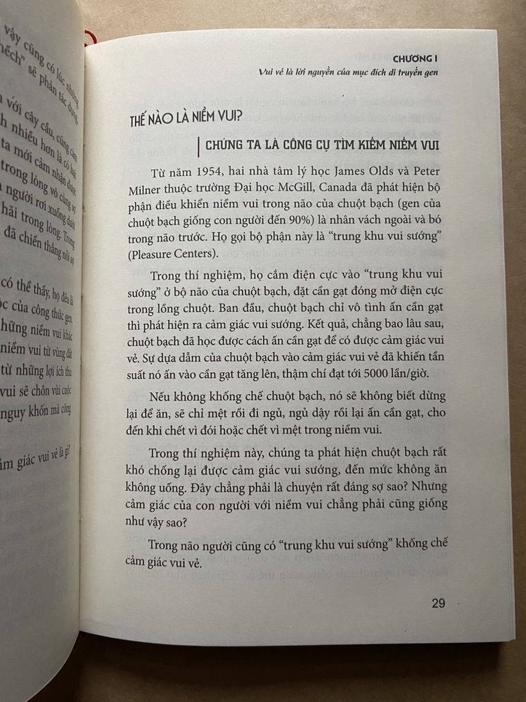 Tìm Lại Cái Tôi Đã Mất