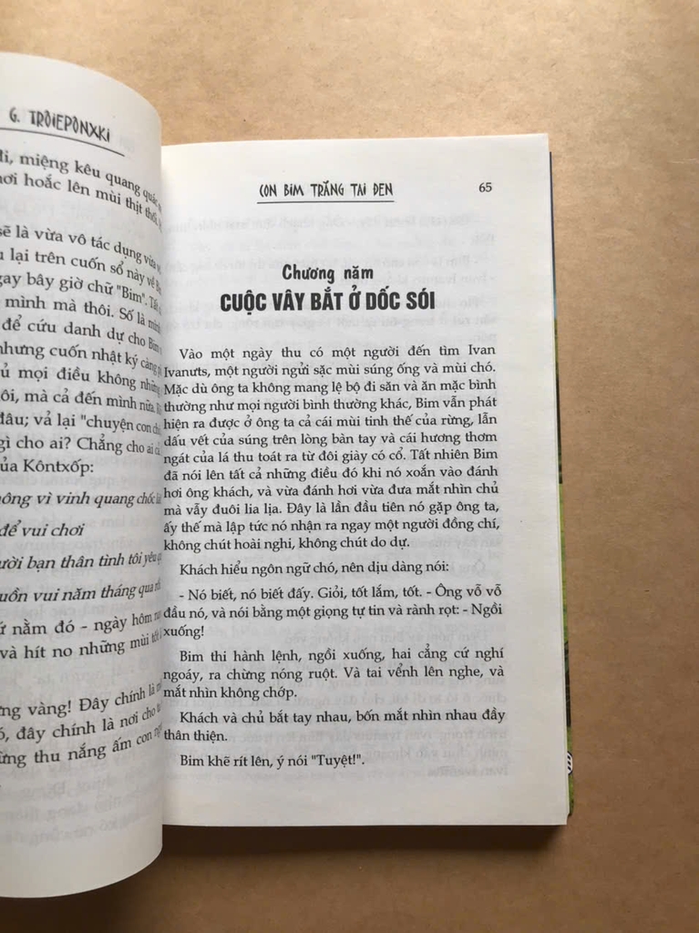 Con Bim Trắng Tai Đen