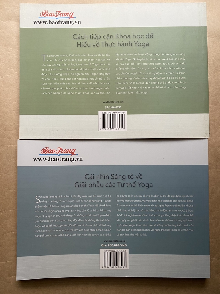 Combo sách các cơ chính trong Yoga + các tư thế chính trong Yoga