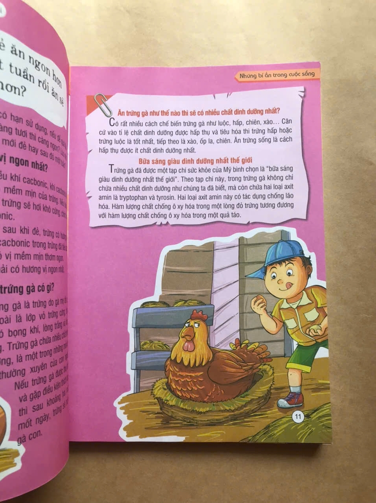 Những Bí Ẩn Trong Cuộc Sống