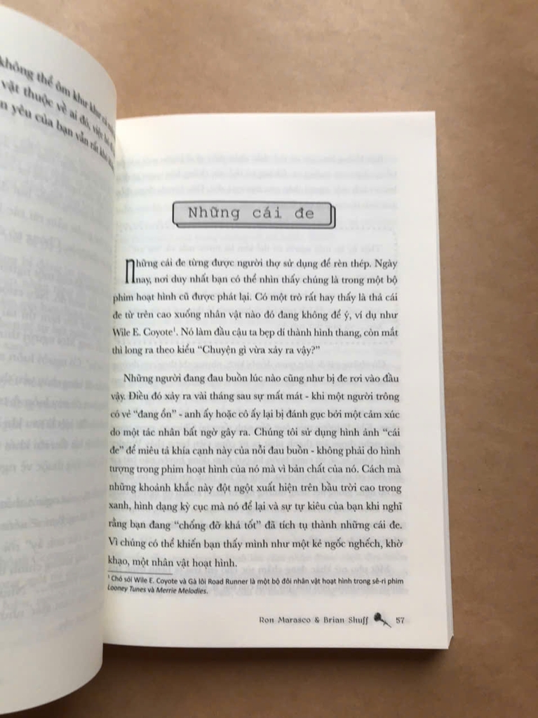 Một Ý Niệm Về Nỗi Buồn