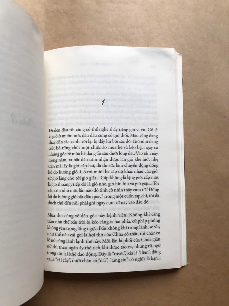 Những Tháng Năm Rực Rỡ