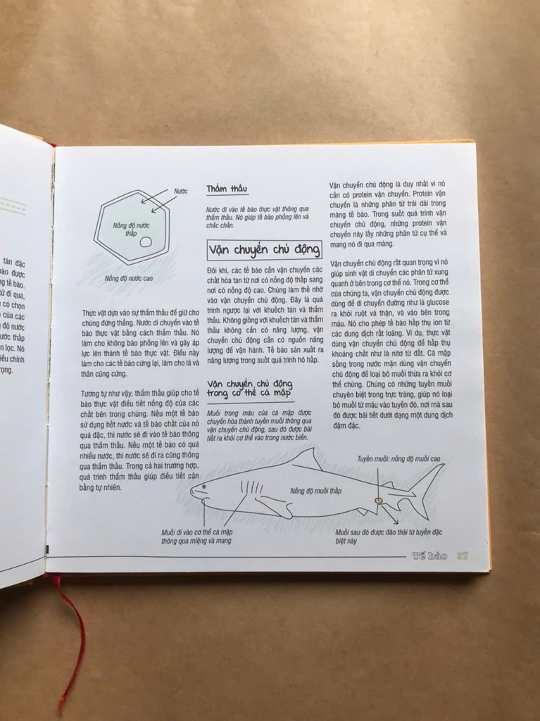 Sơ Đồ Tư Duy Sinh Học ( Mind Map Biology )