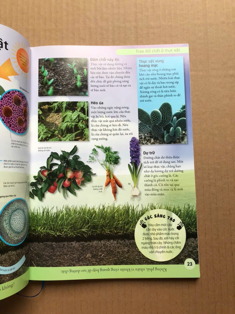 Bách Khoa Khoa Học