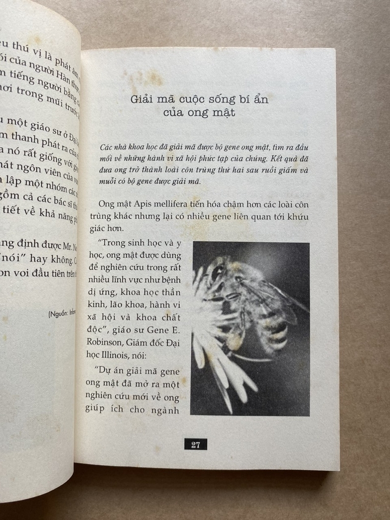 Bí Ẩn Mãi Mãi Là Bí Ẩn 03