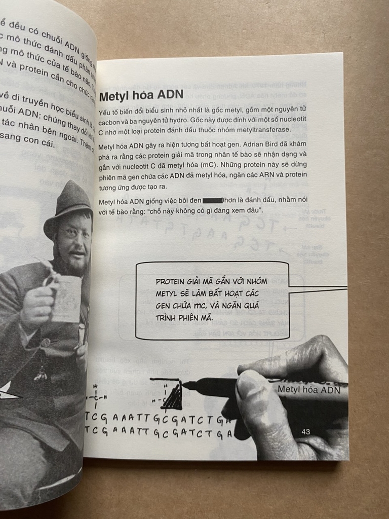 Dẫn Nhập Ngắn Về Khoa Học - Di Truyền Học Biểu Sinh: Minh Họa Sinh Động Bằng Tranh