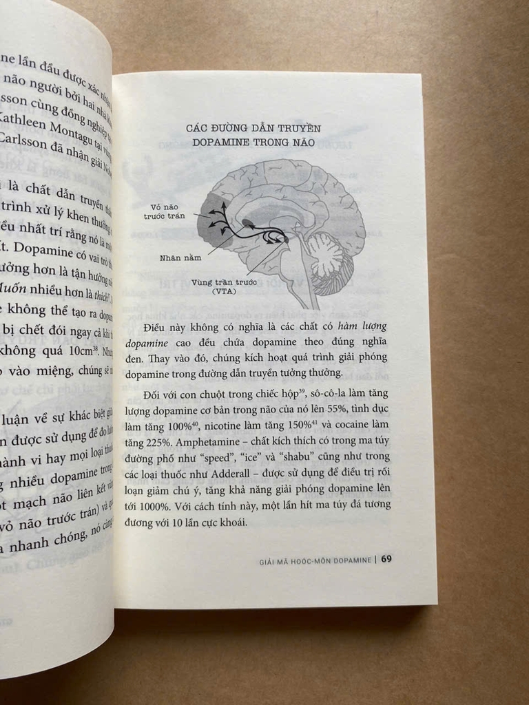 Giải Mã Hoóc-Môn Dopamine
